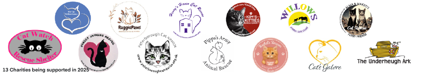 SHOP LINK LOTS OF NEW THINGS - CLICK TO GO TO SHOP